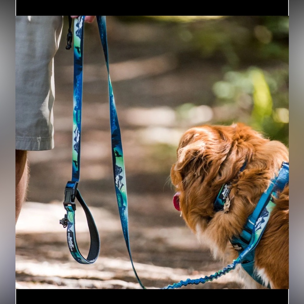 Rocky Mountain dog Blue and Black Mountain Design Dog Leash, collar, wristlet